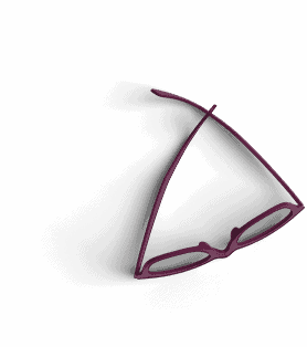 eye glasses